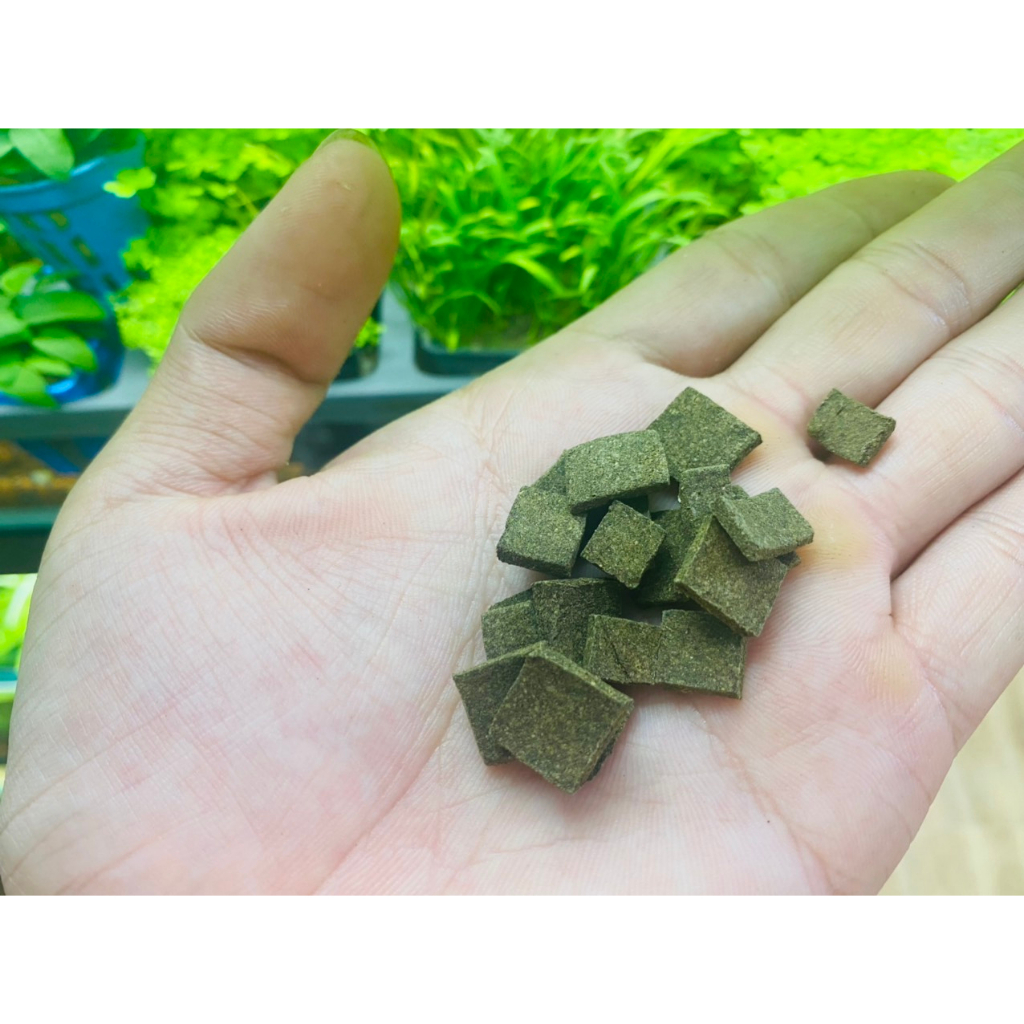 N-FOOD Thức Ân Cao Câp Cho Tép - Lên Màu Cực Tốt.