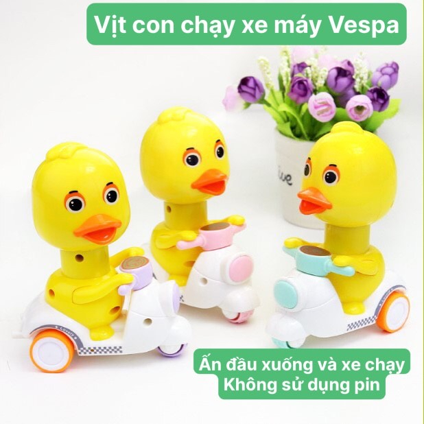 Vịt chạy xe vespa ngộ nghĩnh đáng yêu