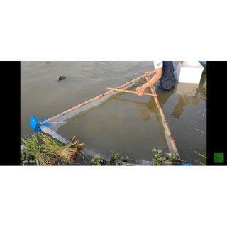 Te bắt tép tôm cá nhỏ,xiếc tôm tép