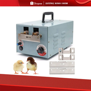 Máy cắt mỏ gà tự động cắt mỏ gà vịt con 9dx-x5 dn67