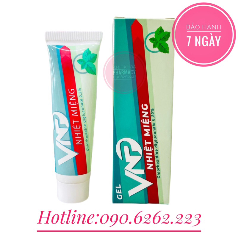 Gel Bôi Nhiệt Miệng VNP (Tuýt 10g)