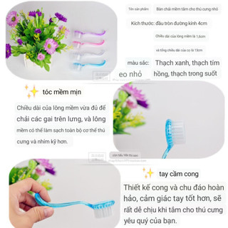 Chải lông cho Nhím, Hamster
