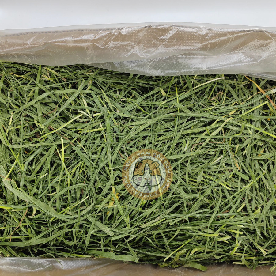 Cỏ Lúa Mì Cho Thỏ, Bọ Ú, Chinchilla Giàu Chất Xơ 50g 100g