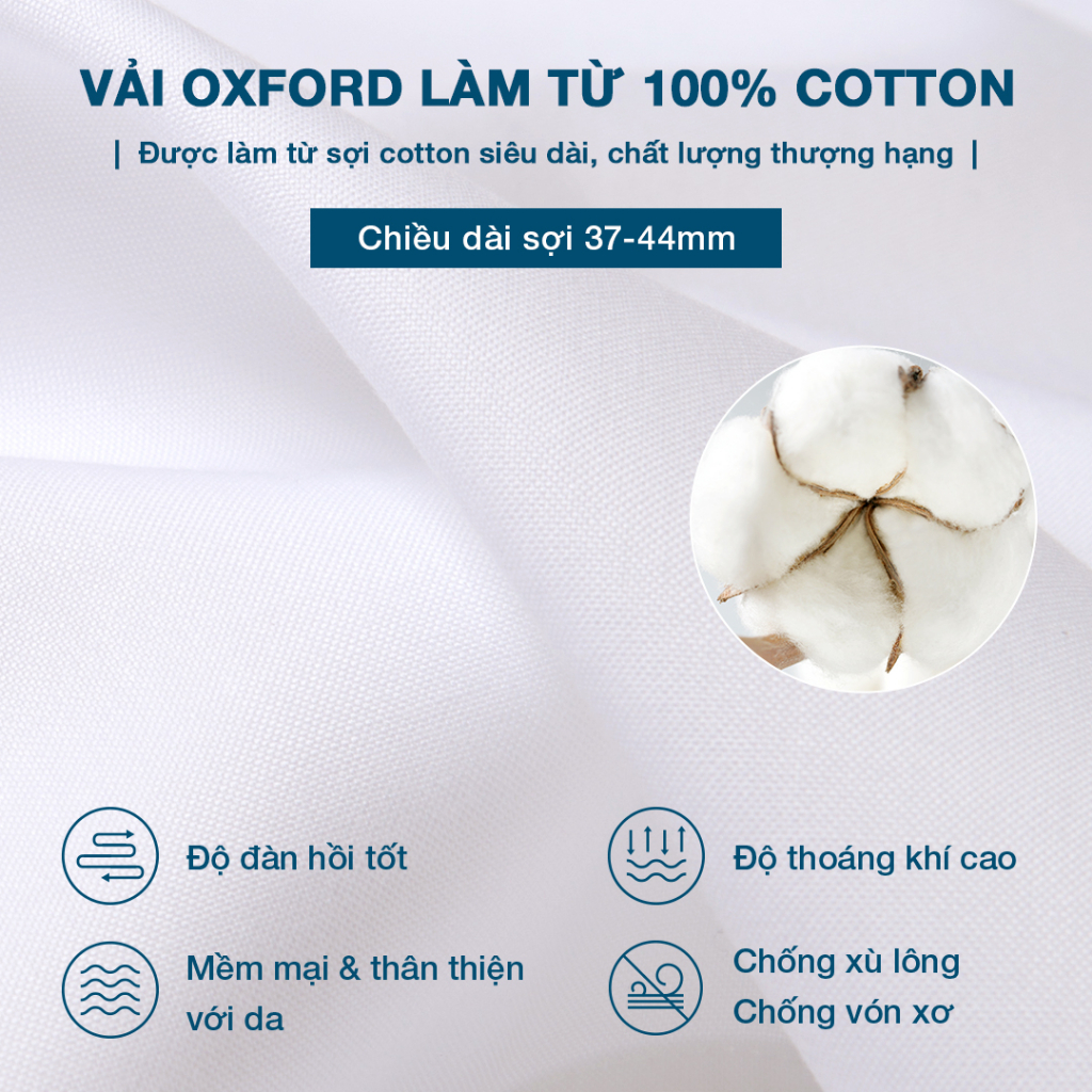 Áo sơ mi nam tay dài Oxford Cotton mềm mại thương hiệu Determinant - màu Trắng phối nút màu Nâu nhạt [DETCS03]