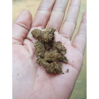 phân bò khô 1 kg