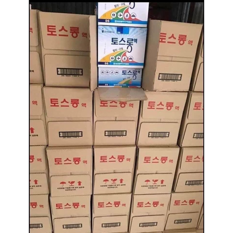 Say tầu xe đông sung hàn quốc_date 2026