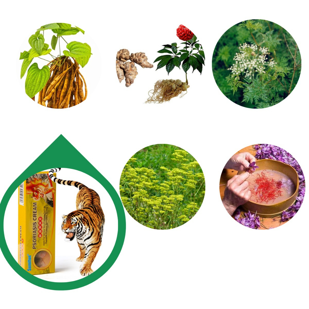 Kem Bôi Nấm Da Đầu, Nấm Da, Vảy Nến, Á Sừng, ... thành phần thảo dược 100%, Cam kết hiệu quả tức thì.