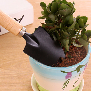 Bộ dụng cụ làm vườn 3 món cán gỗ