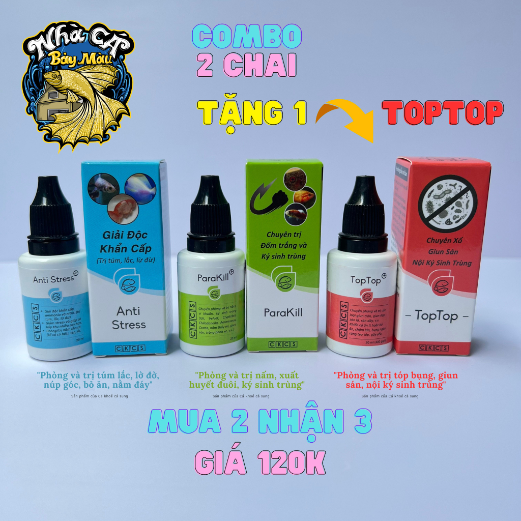 Combo Anti Stress - Parakill ( Dưỡng cá, phòng nấm, túm, lắc, lờ đờ, bỏ ăn, nằm đáy...)