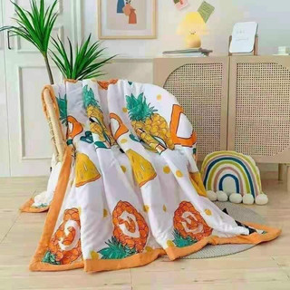 Sỉ chăn ZARA HOME chất đũi siêu đẹp - hàng xuất TBN