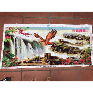 (KHO SỈ) Tranh thêu chữ thập thành phẩm đại bàng tung cánh H1903 FJ0692