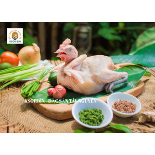 Gà tộc gia lai - đặc sản tây nguyên