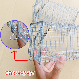 5 Lồng bẫy sóc bông, bẫy sóc đất dùng móc chống sẩy