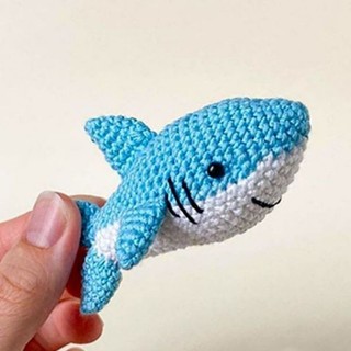 Len cá mập baby shark.