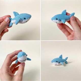 Len cá mập baby shark.