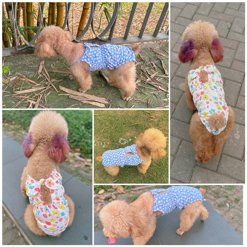 Bikini phối nơ ngực hoạ tiết trái tim/Bikini cao cấp cho chó mèo