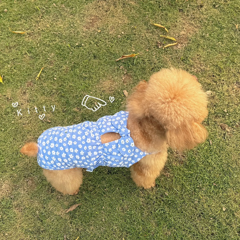 Bikini hoa nhí cho thú cưng/Quần sinh lý cún cái