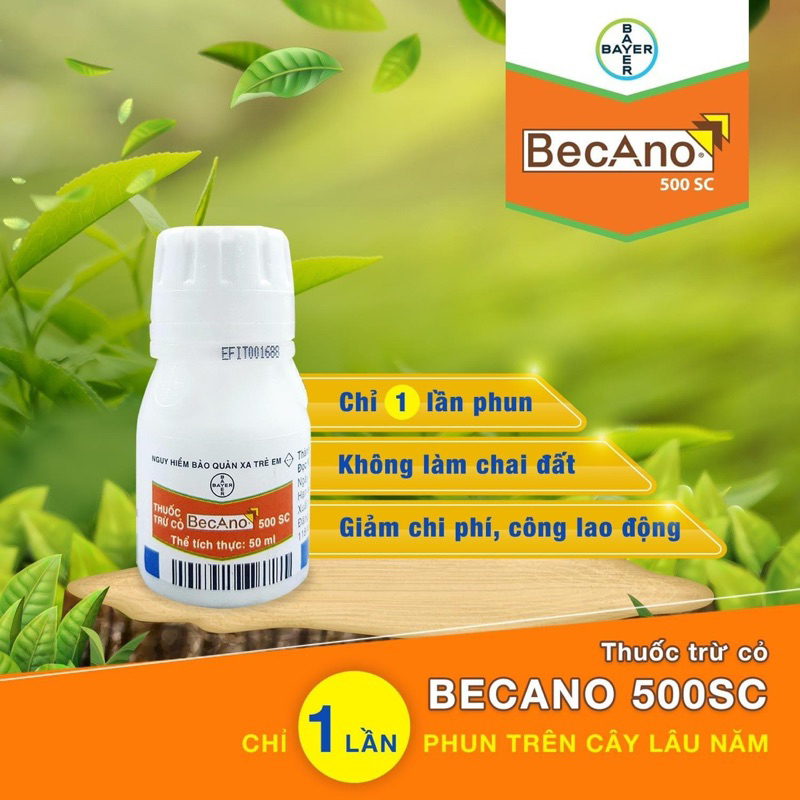 BECANO 50ML BAYER| CỎ DIỆT MẦM 6 THÁNG TRÊN VƯỜN CÂY ĂN TRÁI