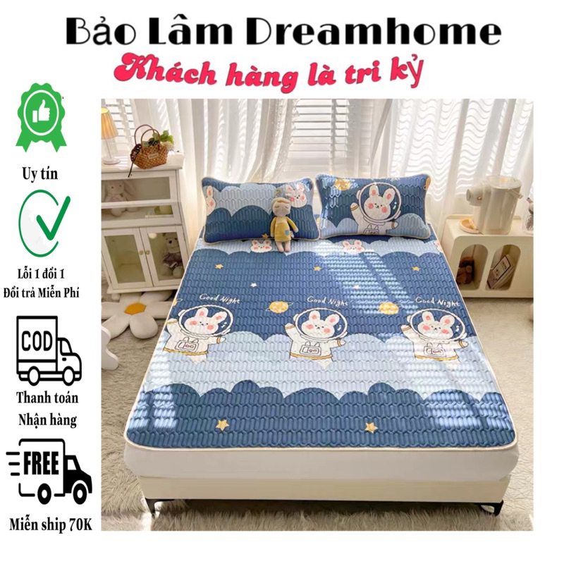 Chiếu Điều Hoà Cao Su Non 3D dày dặn nặng từ 2kg - BaoLamDream