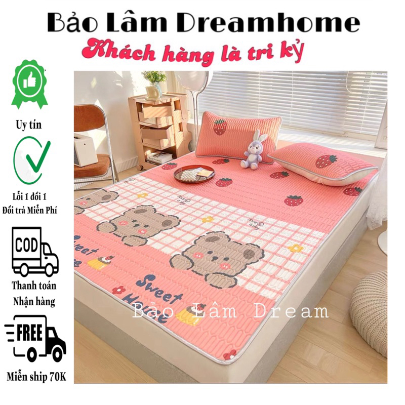 Chiếu Điều Hoà Cao Su Non 3D dày dặn nặng từ 2kg - BaoLamDream