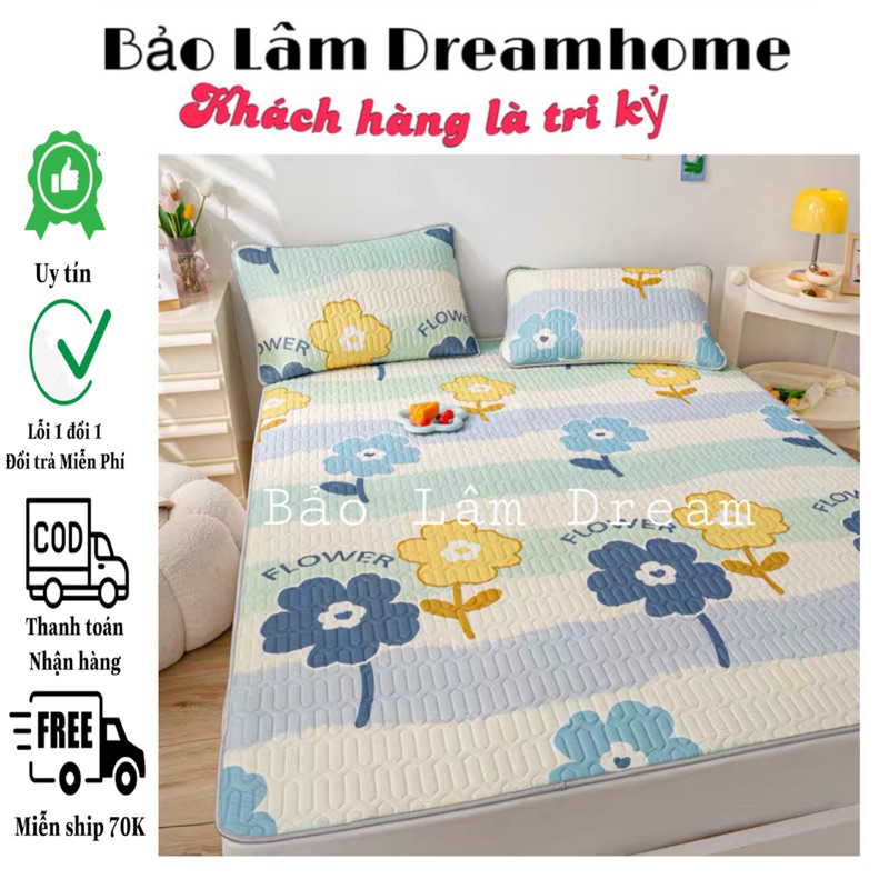 Chiếu Điều Hoà Cao Su Non 3D dày dặn nặng từ 2kg - BaoLamDream