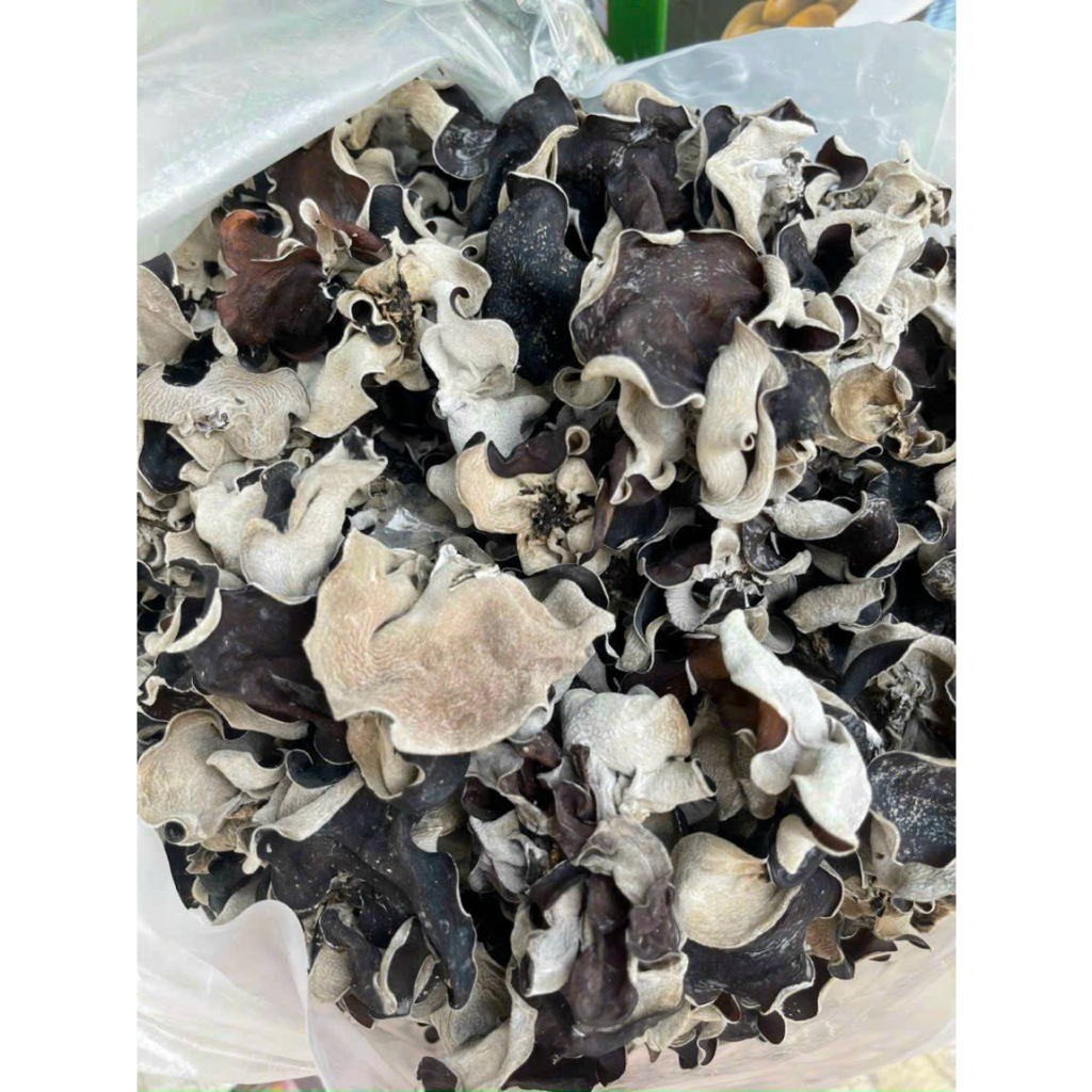 Mộc nhĩ sạch gốc - Nấm mèo sạch