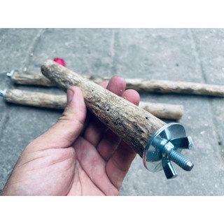 Cầu gỗ lũa gắn lồng vẹt