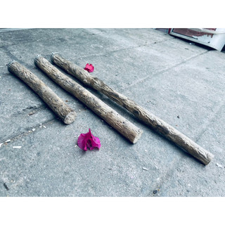 Cầu gỗ lũa gắn lồng vẹt