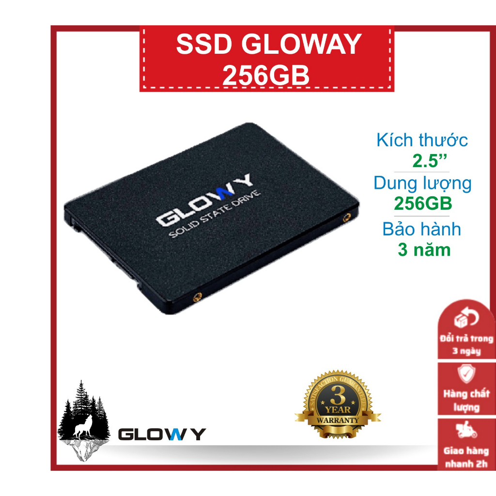 Ổ cứng SSD Gloway 256GB - Chính hãng - Tăng tốc độ cho máy tính - BH 36 Tháng!!!
