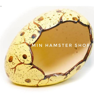 Nhà trứng khủng long nhà ngủ sứ dành cho hamster