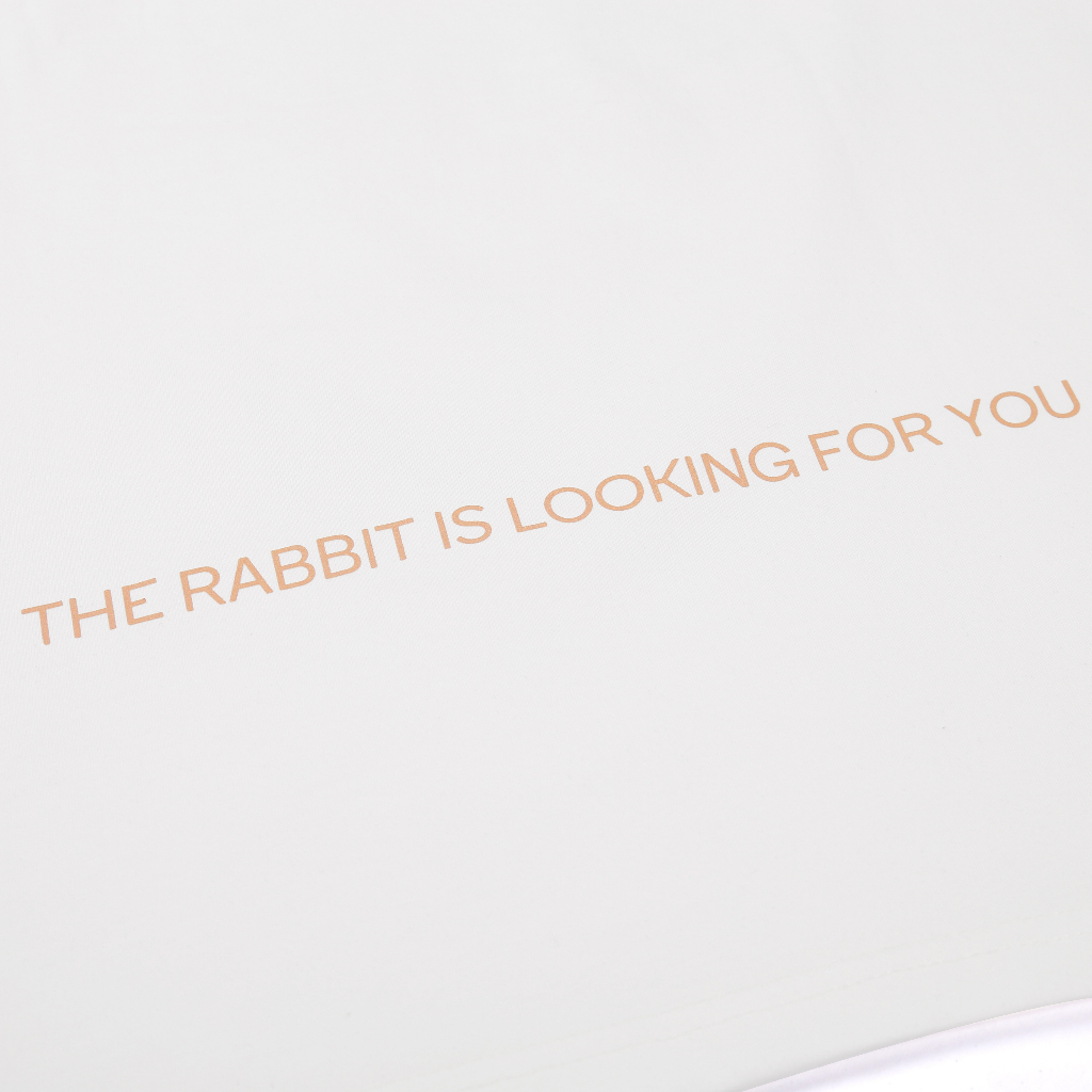 Áo thun tay lỡ CROWN RATY phông Unisex nam nữ Cotton oversize form rộng BUBMAN OS 009