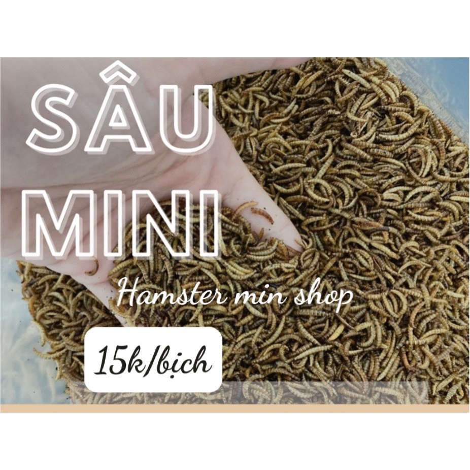 Sâu gạo sấy rang bơ dành cho hamster