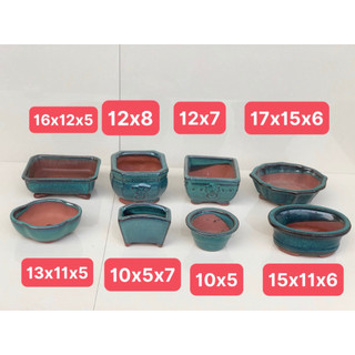 Combo 8 chậu bonsai cây cảnh sen đá mini màu xanh SP579