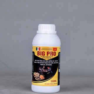 Bigpro Tăng cân, Tăng cơ gà đá