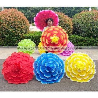 Ô múa mẫu đơn, ô hoa múa biểu diễn siêu đẹp đầy đủ màu sắc