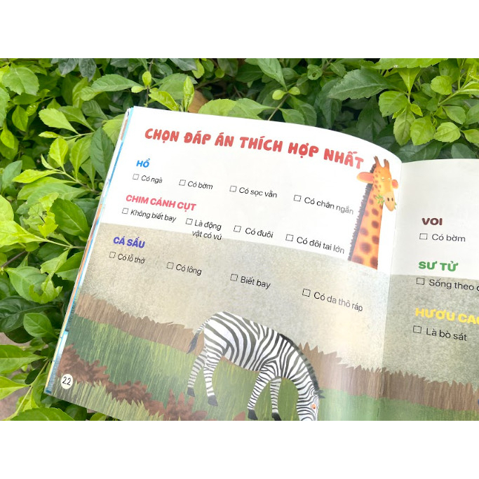 Sách - Thơ hay cho bé