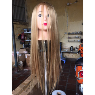 Đầu canh 60cm có xoáy đẹp vàng
