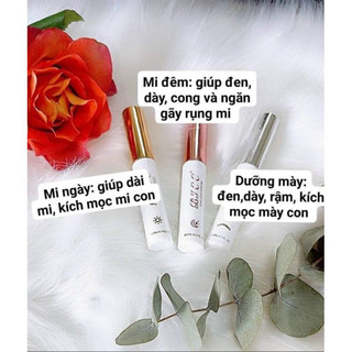 Dưỡng Mi BJCC Chính Hãng
