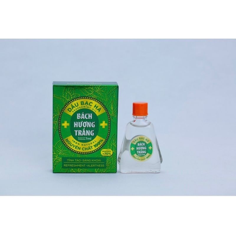 Bách hương trắng - tinh dầu bạc hà nguyên chất
