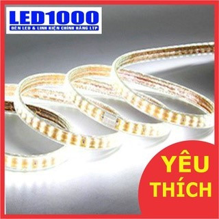 Dây led đôi 2835 hắc trần màu Trắng siêu sáng quấn cây, ốp tường - 5m (tặng nguồn)