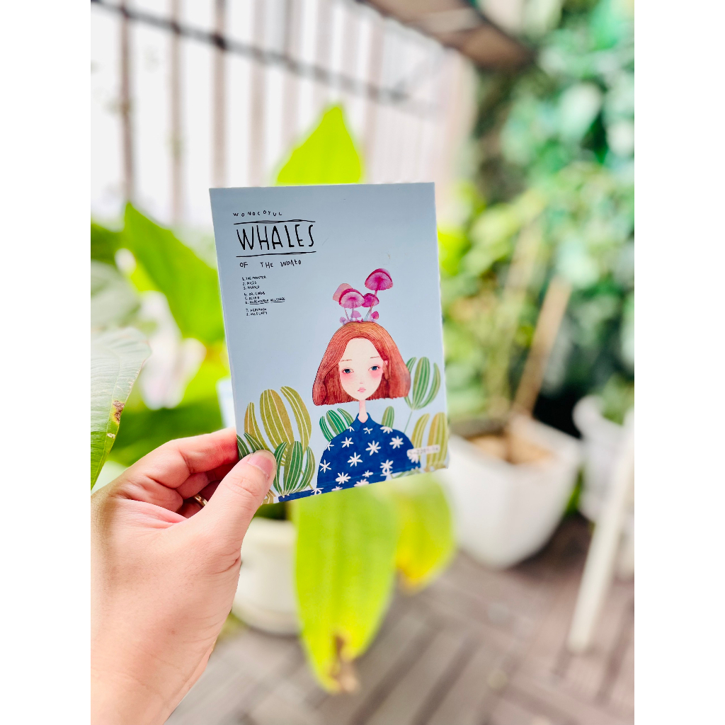 Gương gập giấy size 11x15cm dày và mỏng