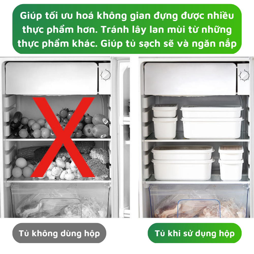 Set 4 hộp đựng thực phẩm chất liệu nhựa PP an toàn cho ngắn cấp đông và lò vi sóng dùng để đựng thực phẩm dự trữ