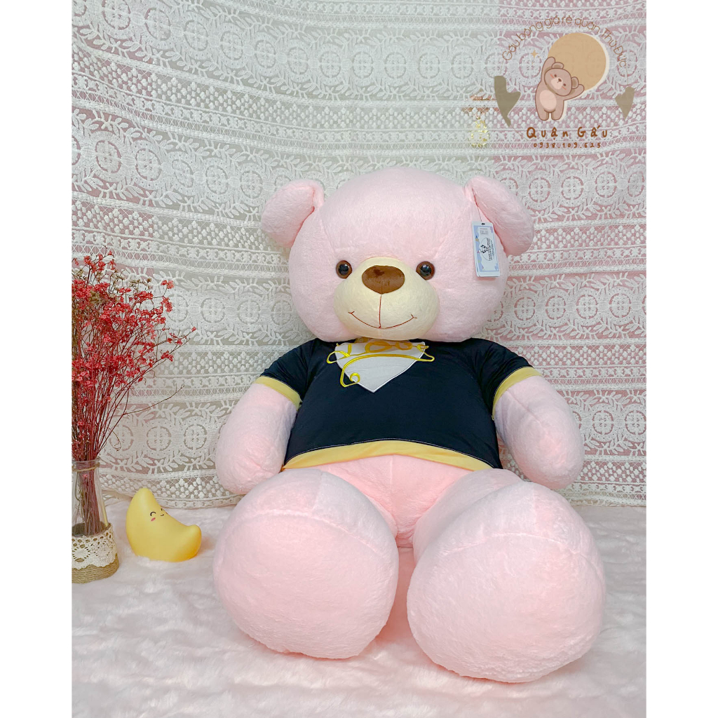 Gấu nhồi bông TEDDY lông thỏ xù, mềm mịn màu hồng pastel, tím khói, nâu nhạt [Quận Gấu-Gấu bông giá rẻ quận Thủ Đức]