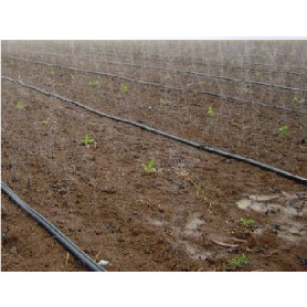 ỐNG DÂY TƯỚI PHUN MƯA PHI 27-34-42