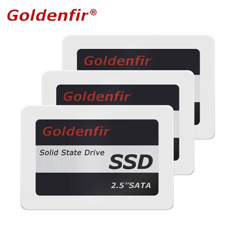 Rẻ vô địch SSD Goldenfir 120G 240G 360G 500G mới 100% | BigBuy360 - bigbuy360.vn