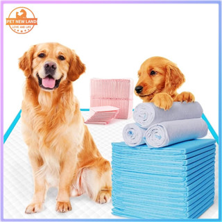 Tả lót vệ sinh huấn luyện Chó mèo, Miếng lót cho chó, mèo đi vệ sinh Tã Lót Vệ Sinh Cho Chó Mèo