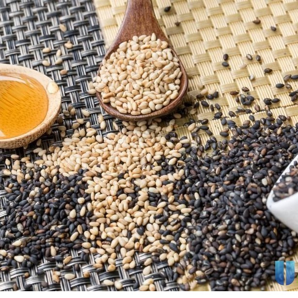 Hot - Dầu mè Ottogi Hàn Quốc