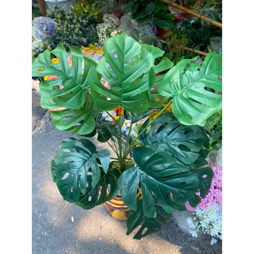 Cây giả cây lá rùa giả cao 80cm trang trí decor nhà cửa bền đẹp cây giả trang trí