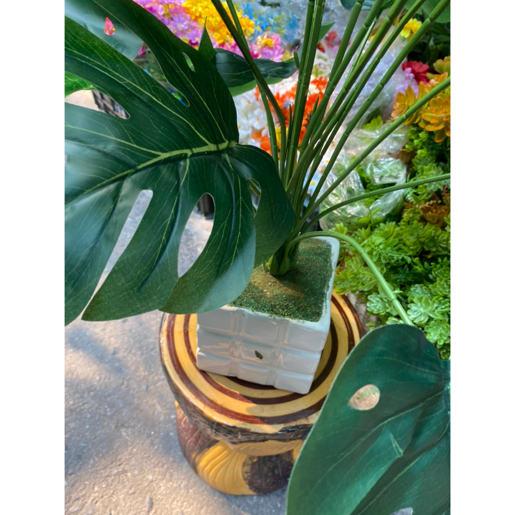 Cây giả cây lá rùa giả cao 80cm trang trí decor nhà cửa bền đẹp cây giả trang trí