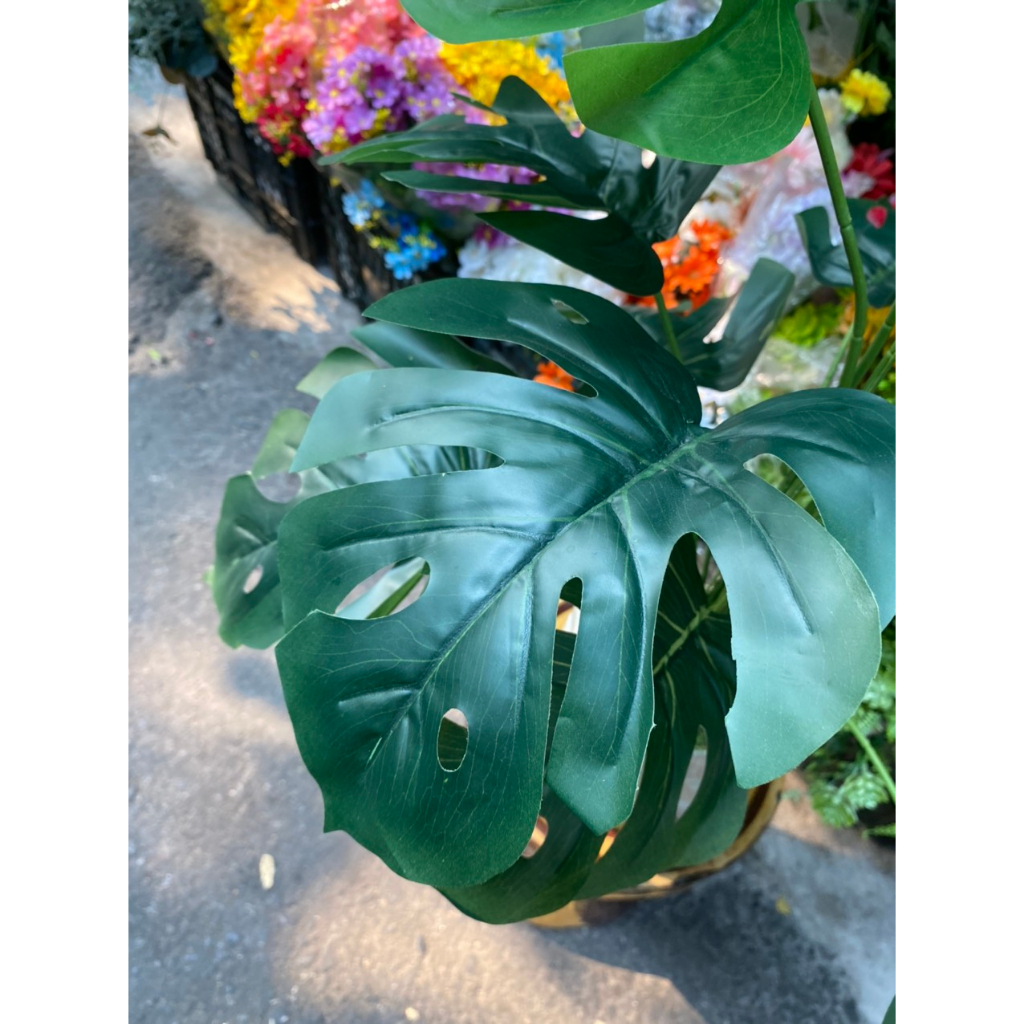 Cây giả cây lá rùa giả cao 80cm trang trí decor nhà cửa bền đẹp cây giả trang trí